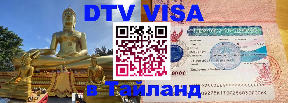 Оформление DTV визы под ключ: стоимость и тарифы, только загранпаспорт - Вологда  19.11.2025 